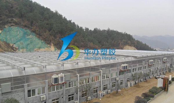 湖北十堰清風鎮PC板生態餐廳