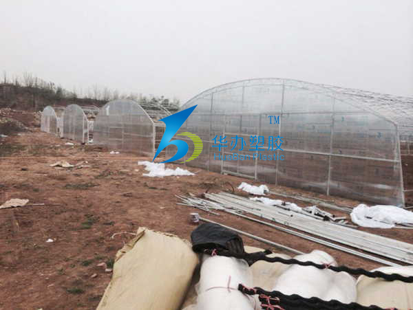 濟南仲宮鎮蔬菜示范園-PC陽光板