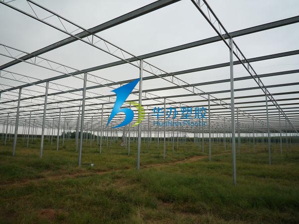 連云港東?？h雙店鎮溫室大棚PC陽光板