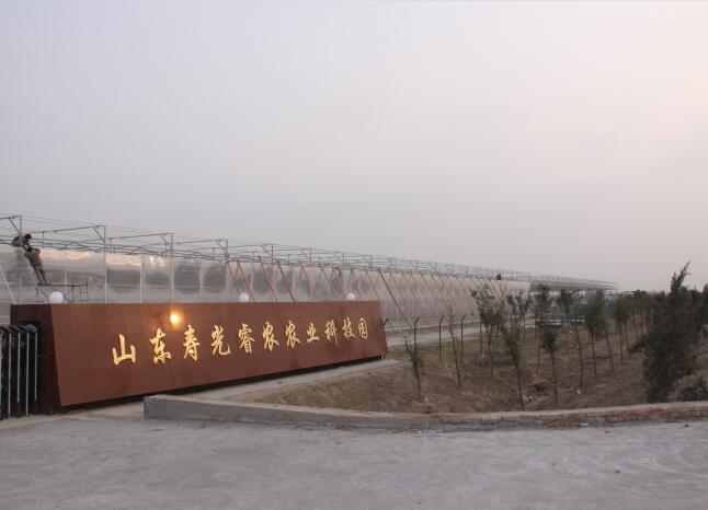 山東壽光睿農農業科技園溫室大棚PC陽光板