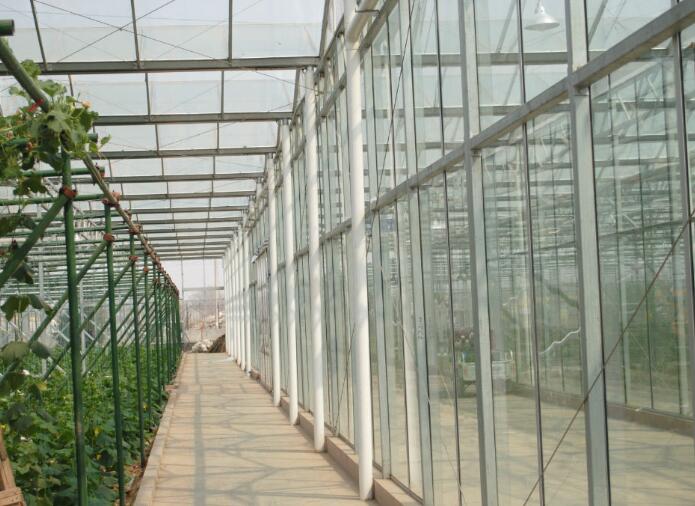 PC陽光板溫室大棚的優勢