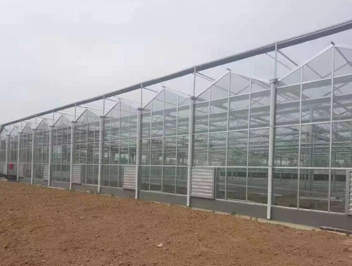 PC薄膜溫室大棚可以防風嗎？