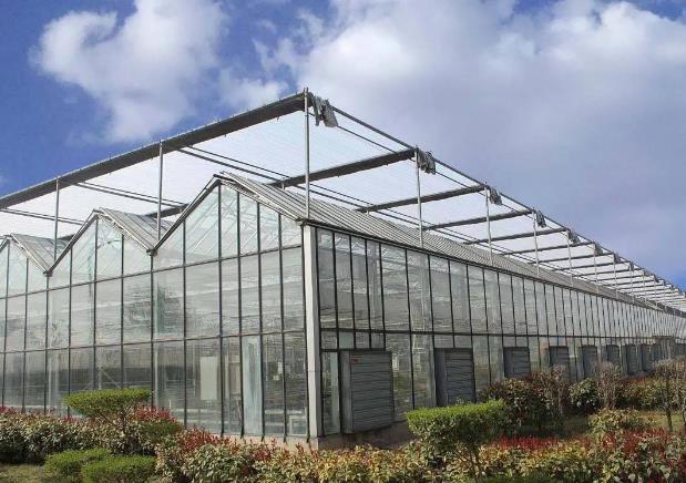 PC板新型溫室大棚一畝造價多少錢？