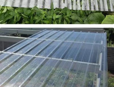 PP板的特性和分類